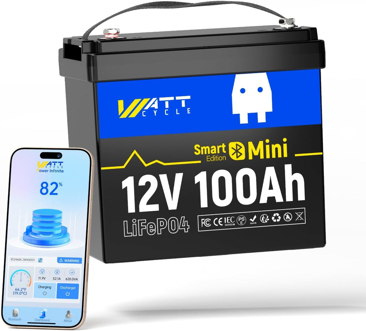 12V 100Ah Mini LiFePO4 Battery Group 24 Q32221