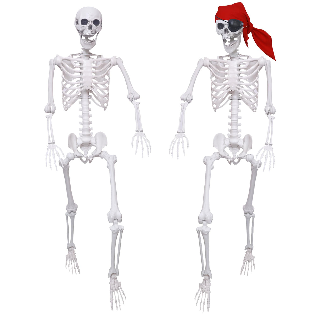 5.4Ft Posable Life Size Skeletons with Movable Joints W850424
