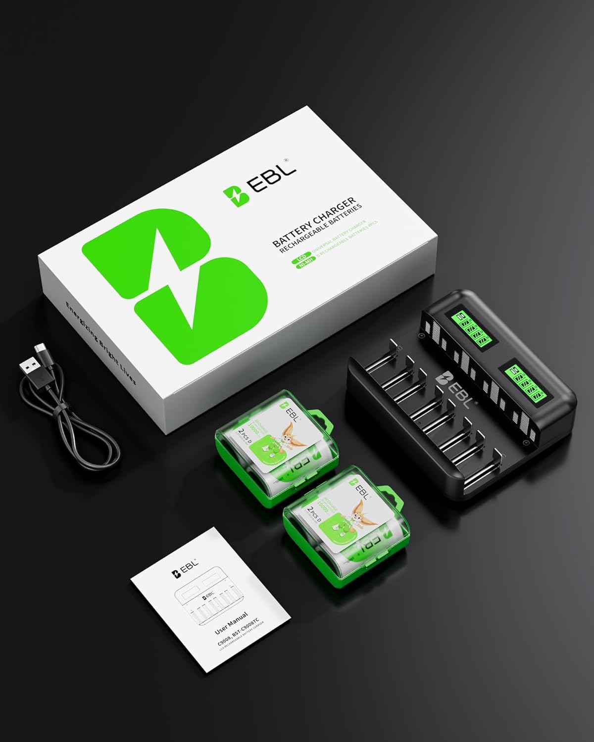 Rechargeable D Batteries 4 Pack with Battery Charger L873