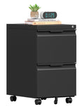 2 Drawer Mobile File Cabinet with Lock X914225