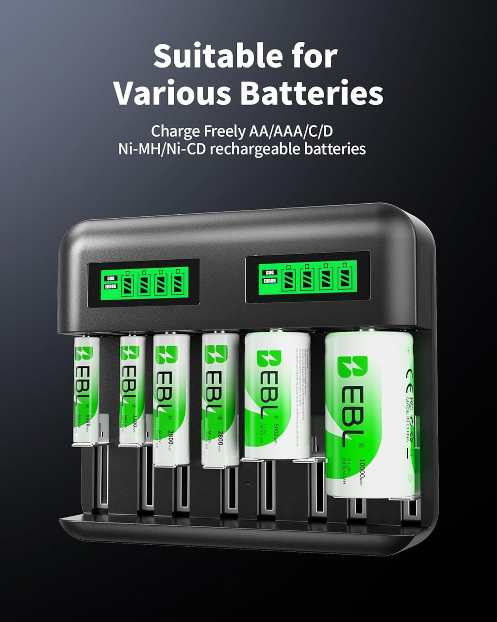 Rechargeable D Batteries 4 Pack with Battery Charger L873