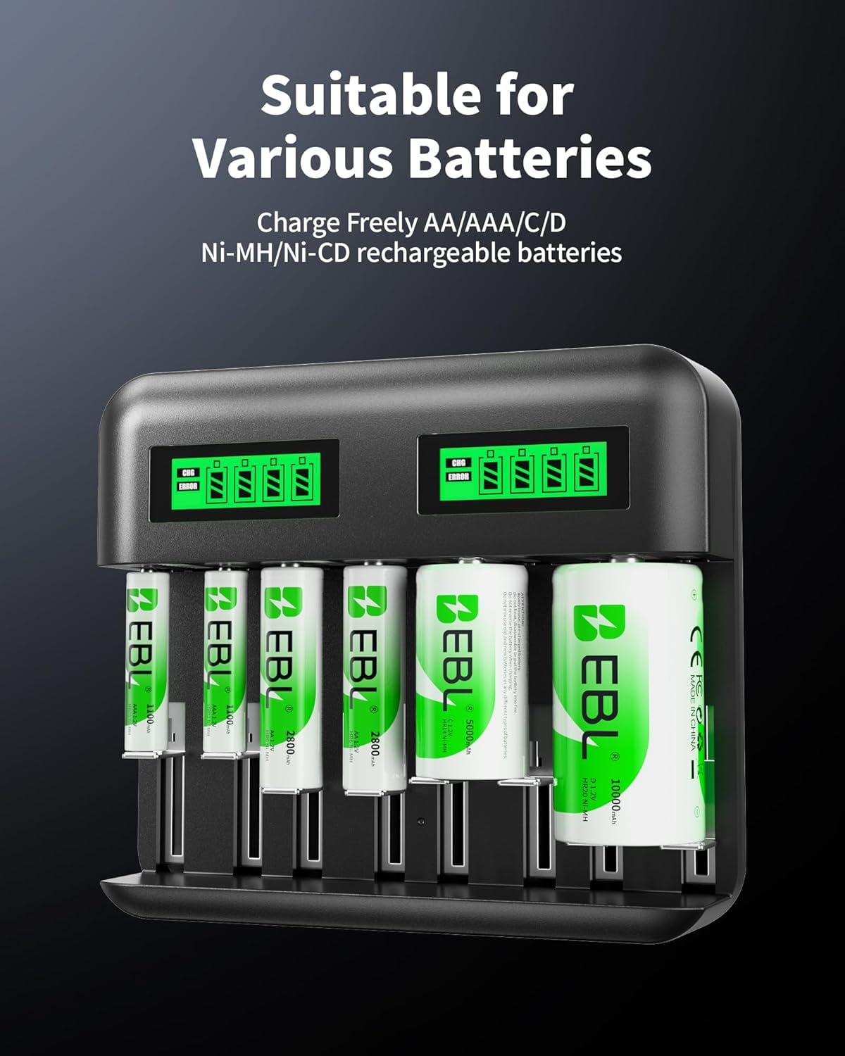 Rechargeable D Batteries 4 Pack with Battery Charger L873