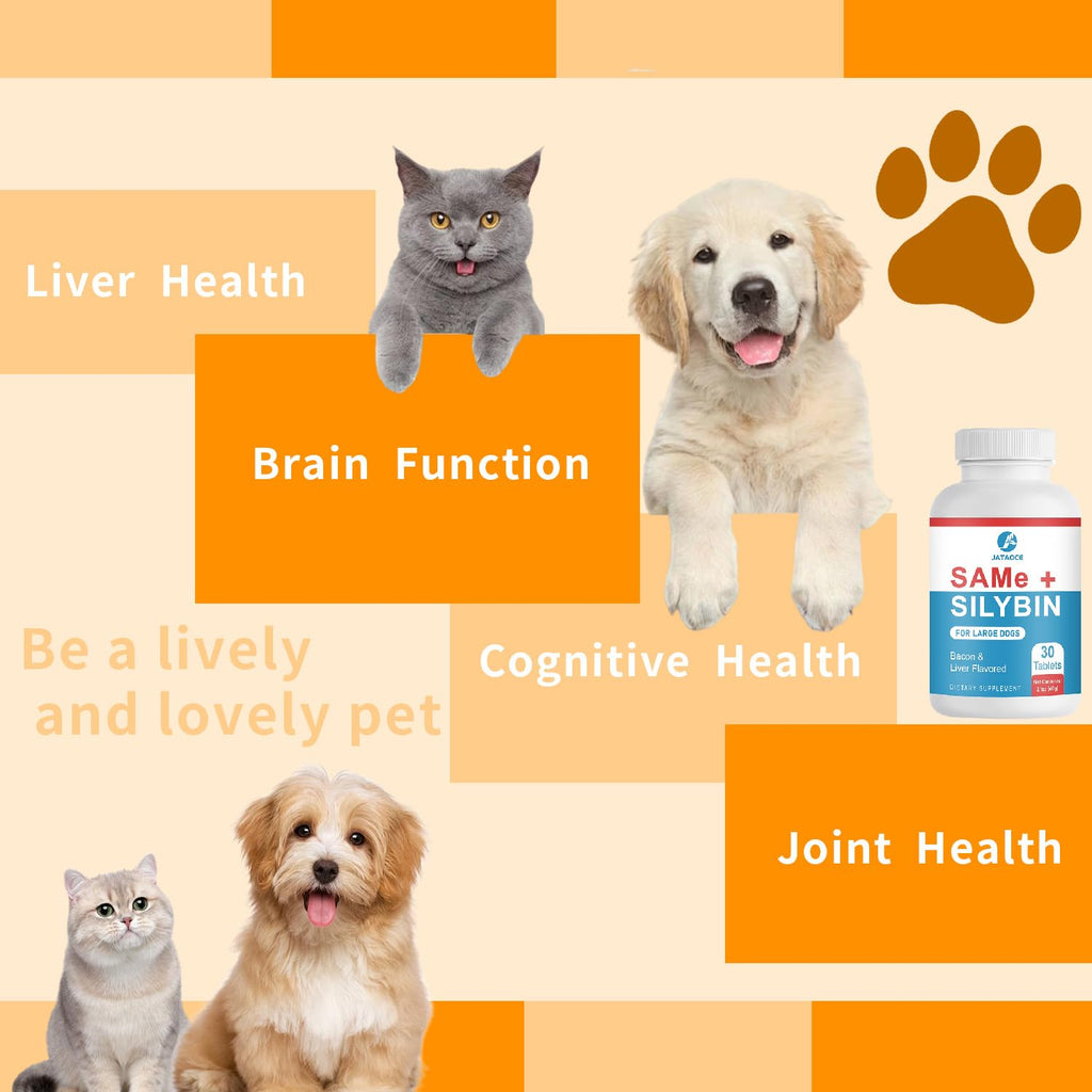 Liver Supplements for Dogs D42789