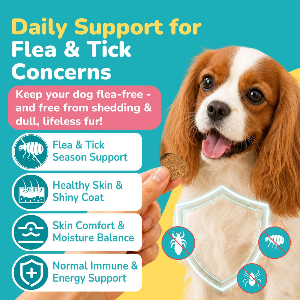 Soft Chews Chicken Flavor Flea and Tick Prevention for Dogs C7150