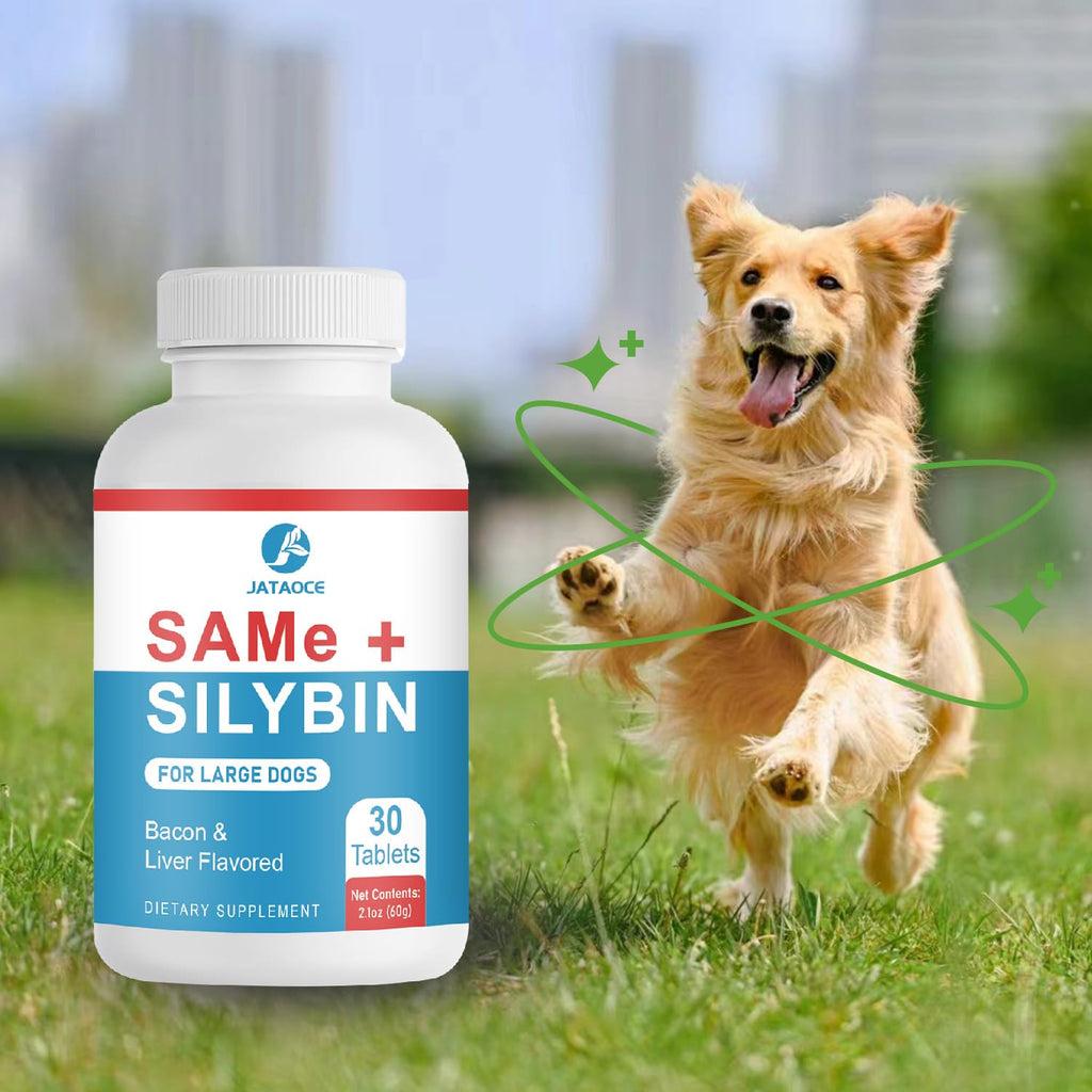 Liver Supplements for Dogs D42789