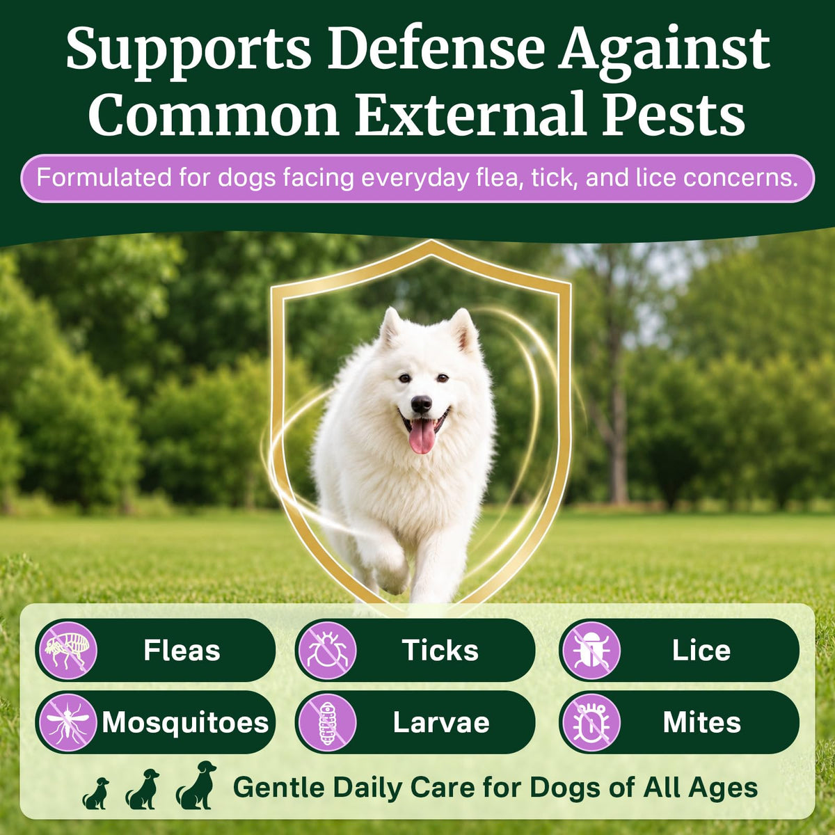 Dog Flea and Tick Prevention Chewables S3732