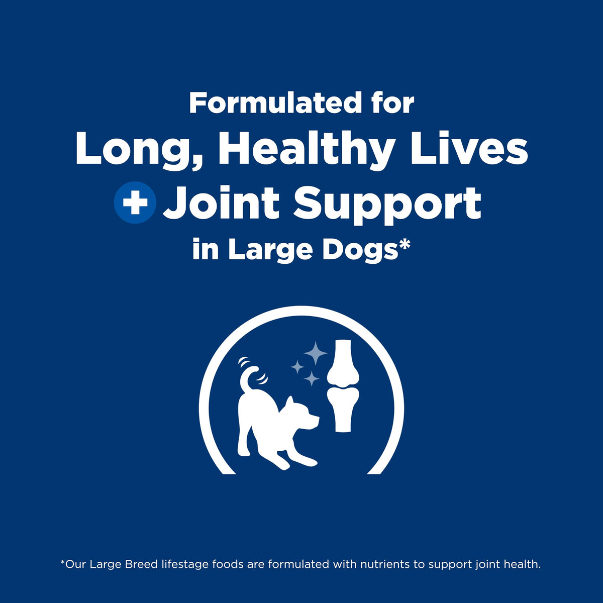 Large Breed Dry Dog Food K1031