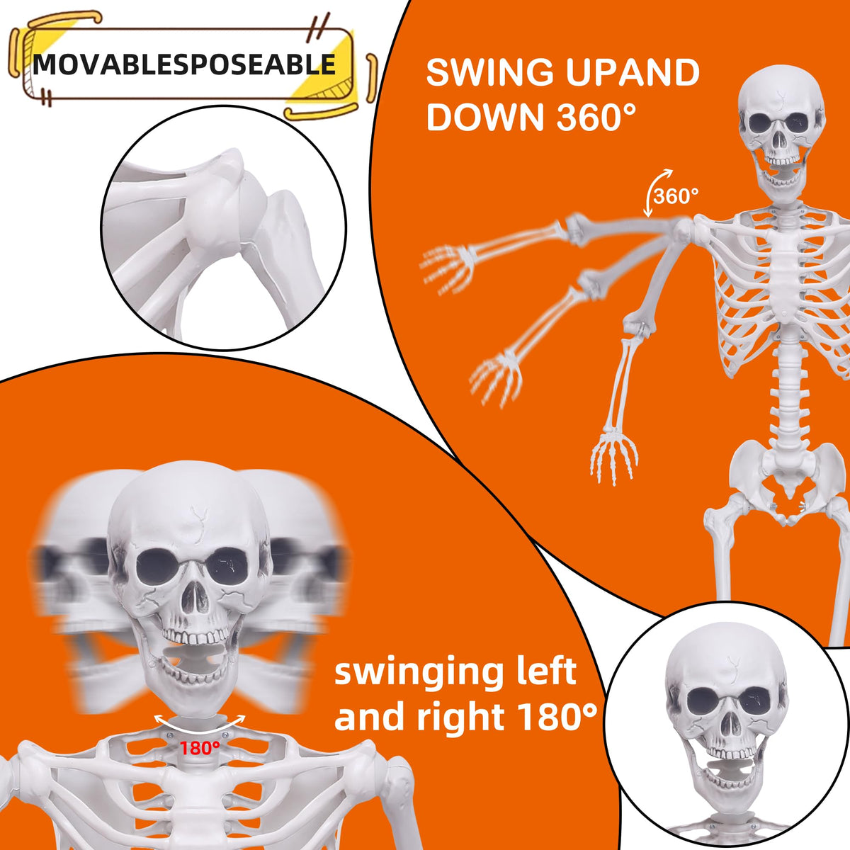 5.4Ft Posable Life Size Skeletons with Movable Joints W850424