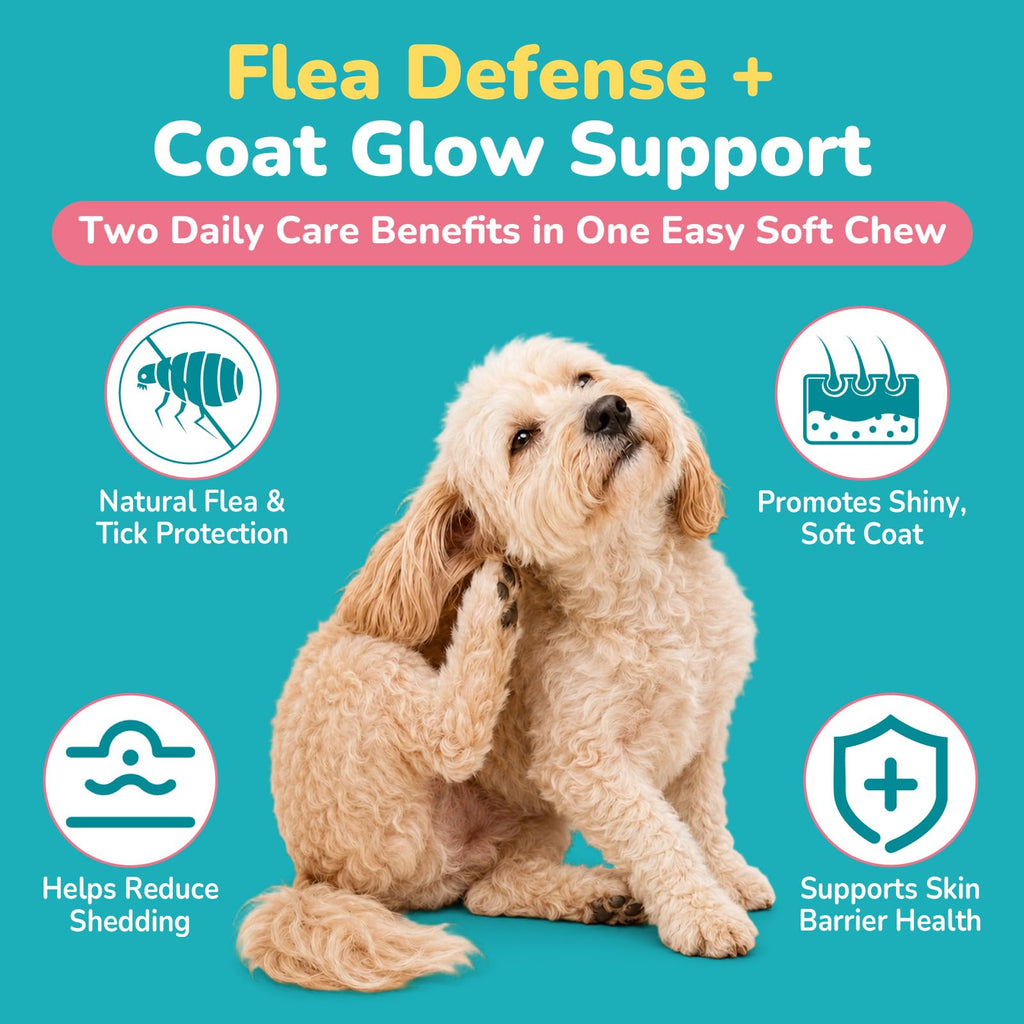 Soft Chews Chicken Flavor Flea and Tick Prevention for Dogs C7150