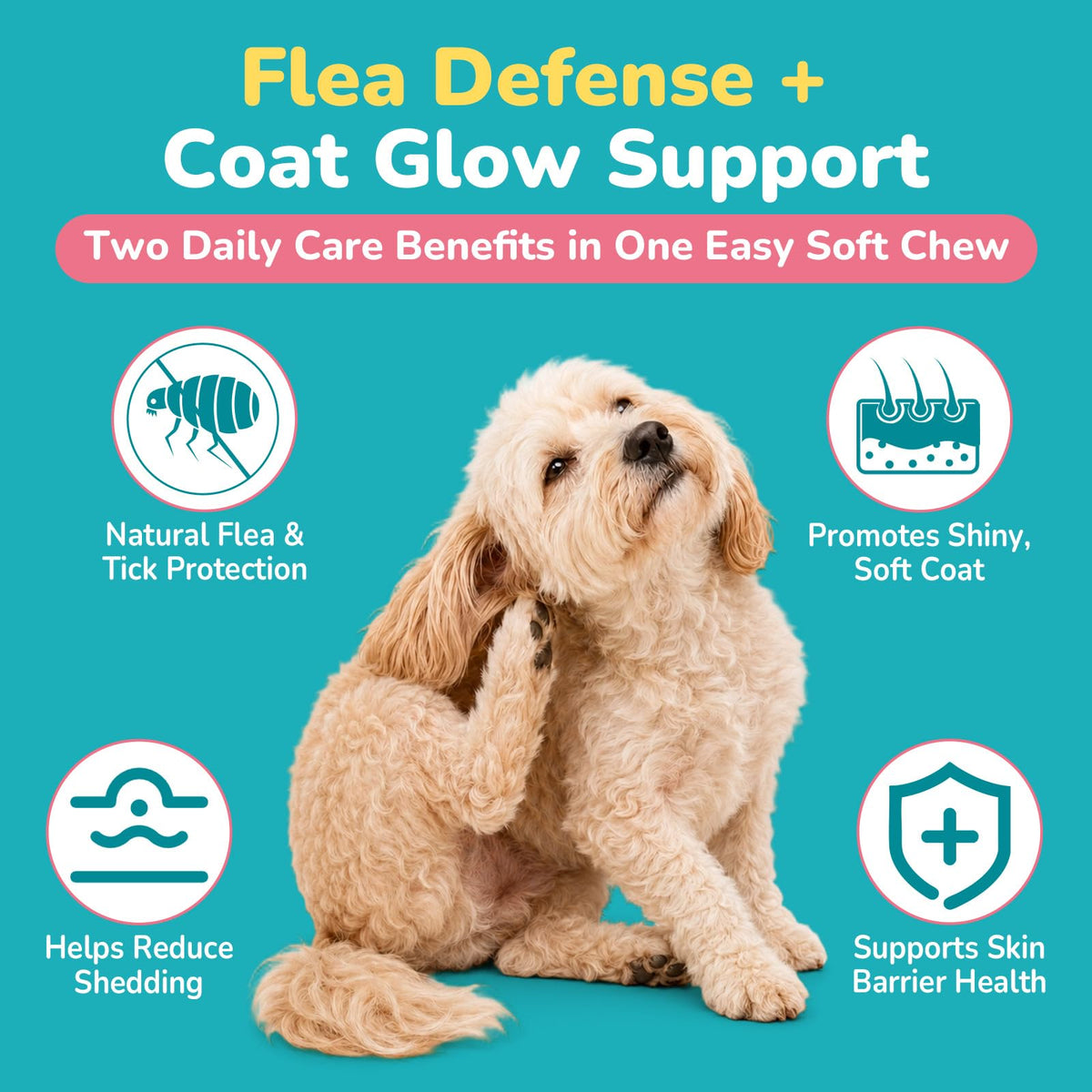 Soft Chews Chicken Flavor Flea and Tick Prevention for Dogs C7150