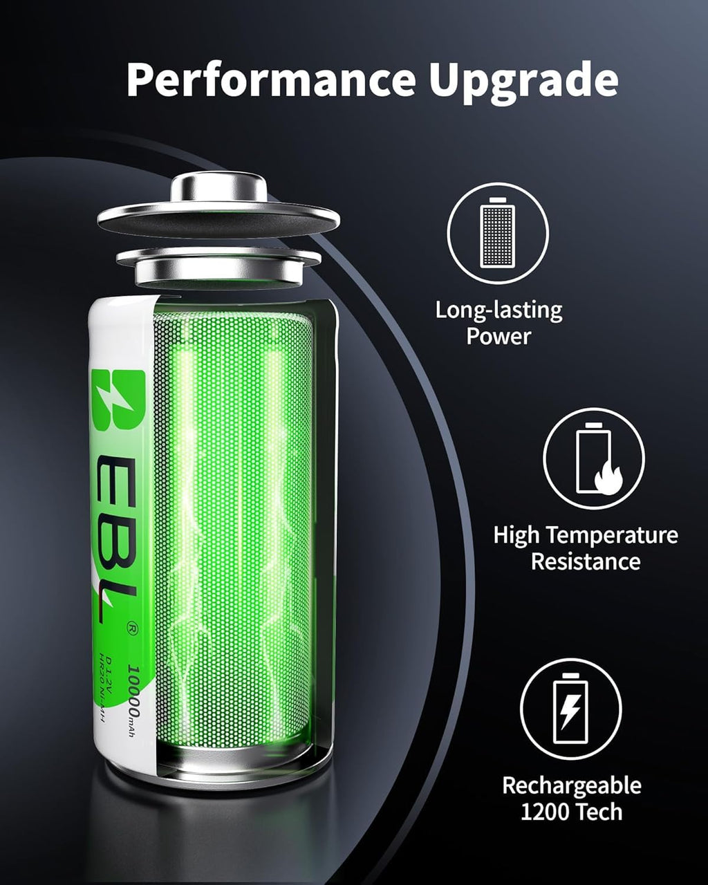 Rechargeable D Batteries 4 Pack with Battery Charger L873