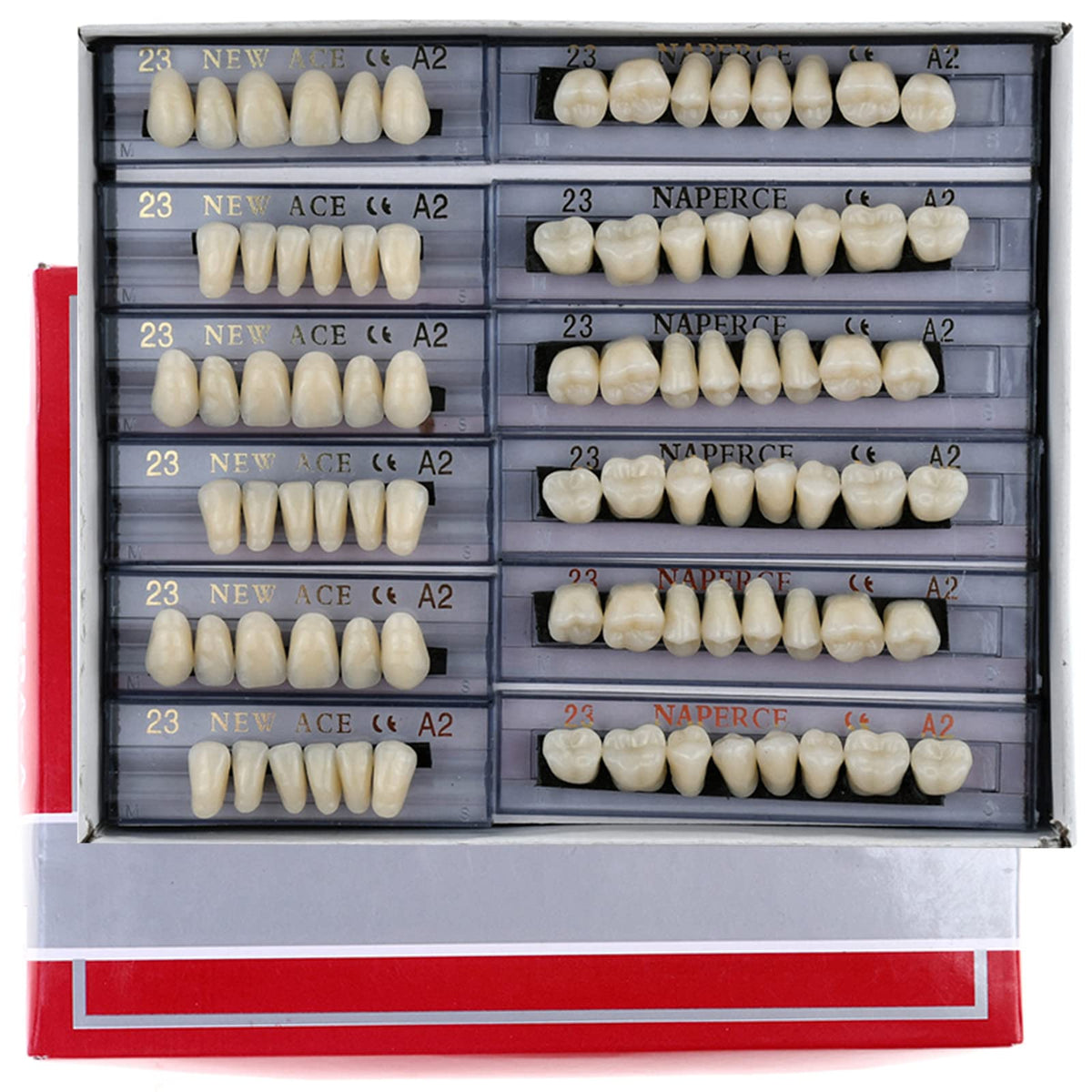 168 Pieces Acrylic Resin Denture Teeth 6 Sets 23 Shade A2 Upper + Lower Z419069
