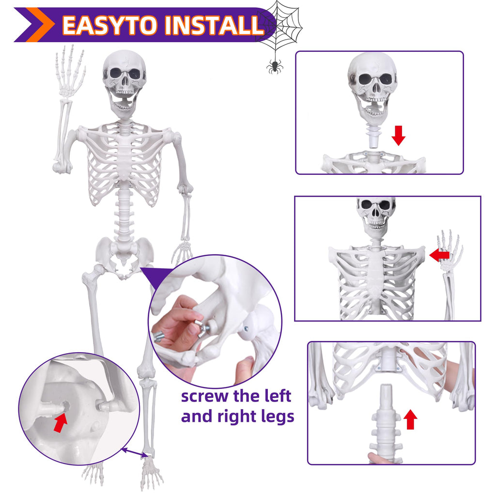 5.4Ft Posable Life Size Skeletons with Movable Joints W850424