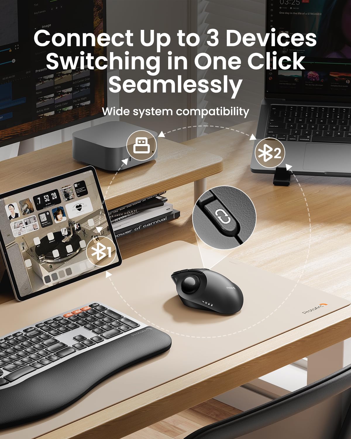 Wireless Trackball Mouse, Adjustable Angle, Gray N53796