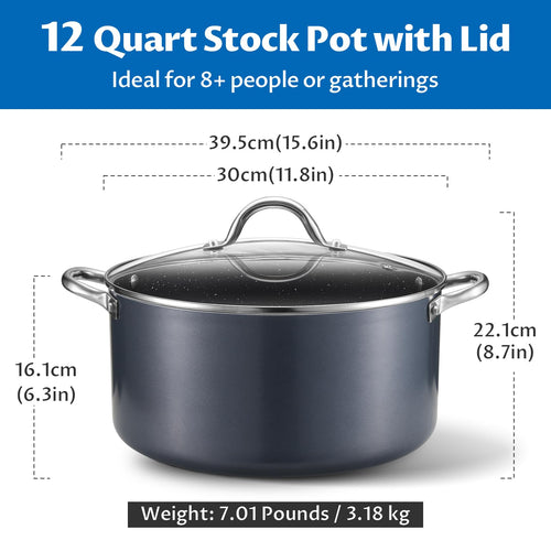12 Quart Nonstick Stock Pot with Lid M415453