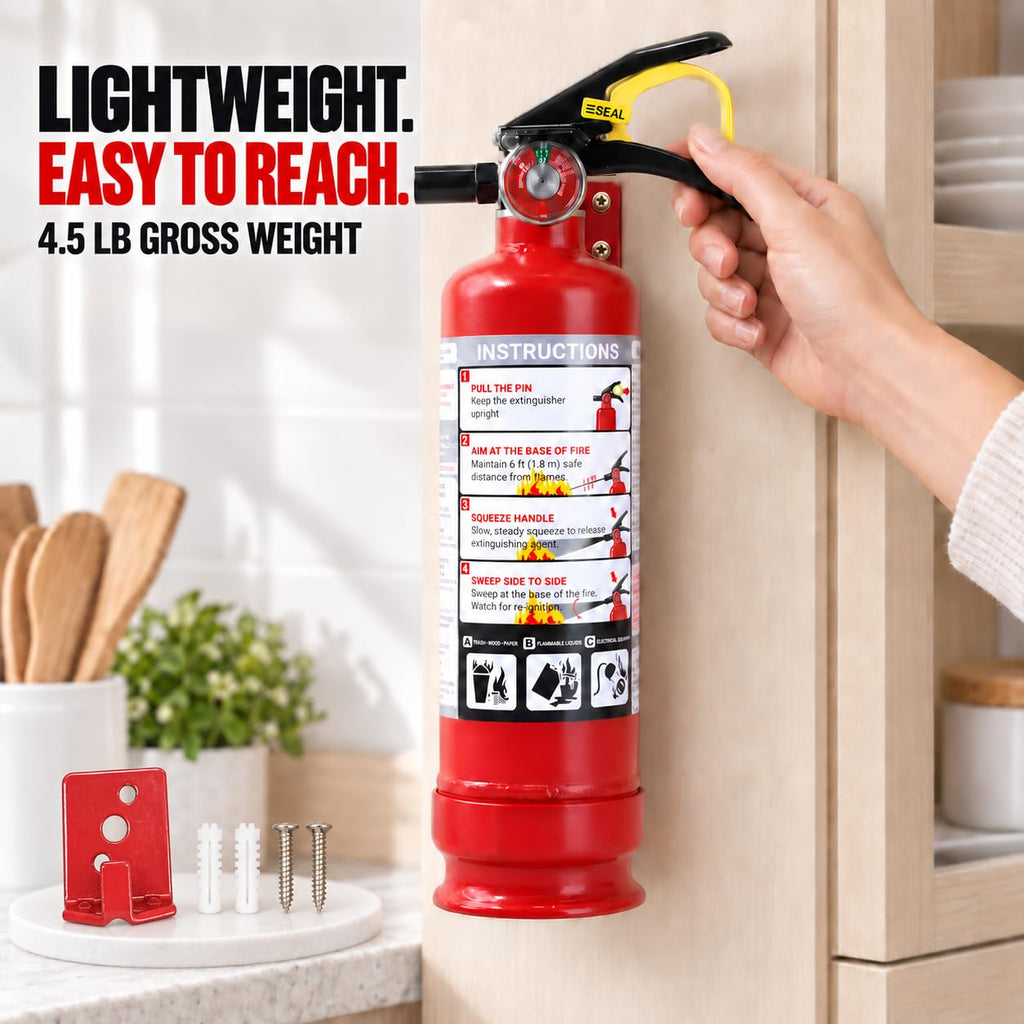 2.5 lb ABC Dry Chemical Fire Extinguishers 1-Pack D101