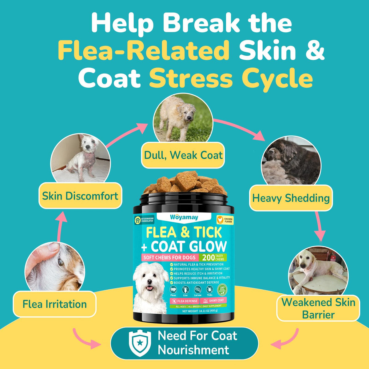 Soft Chews Chicken Flavor Flea and Tick Prevention for Dogs C7150