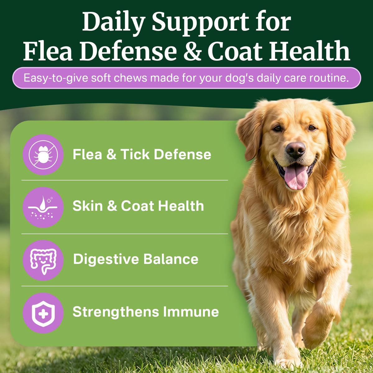 Dog Flea and Tick Prevention Chewables S3732