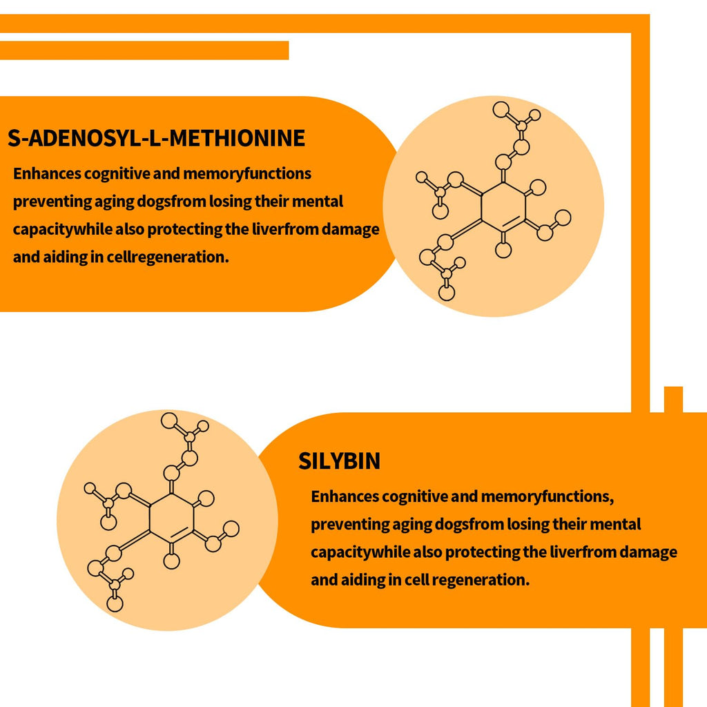 Liver Supplements for Dogs D42789