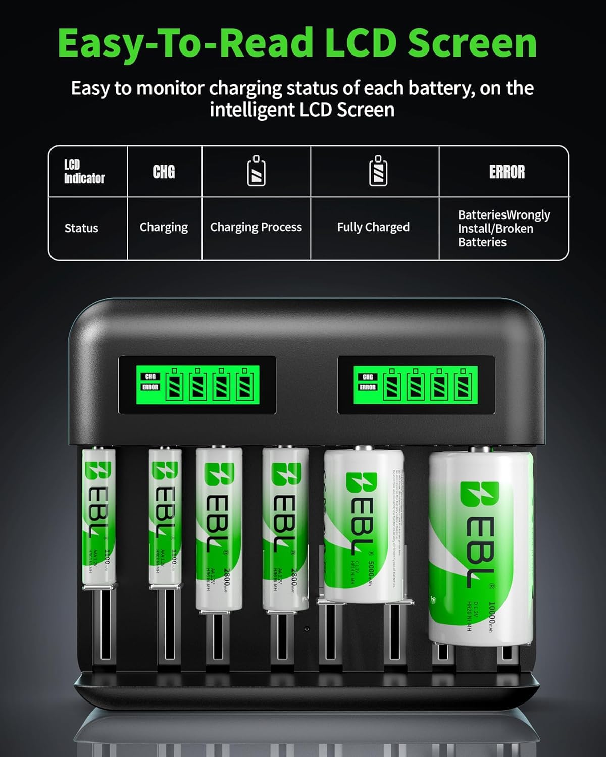 Rechargeable D Batteries 4 Pack with Battery Charger L873