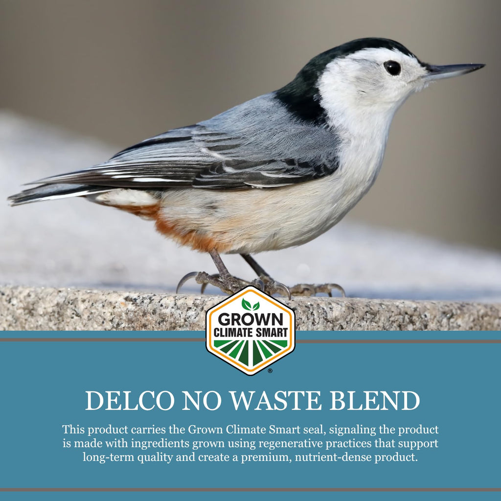 No Waste Wild Bird Seed 20 lb Bag Shell-Free Blend T4837