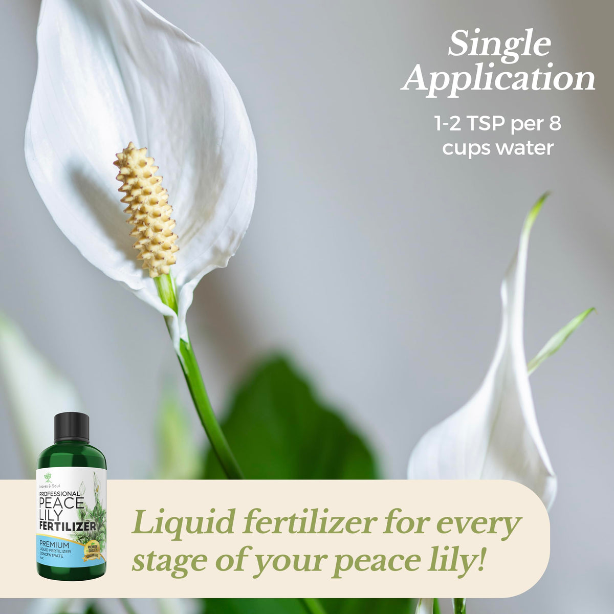Liquid 3-1-2 Concentrate Fertilizer 8 oz F365