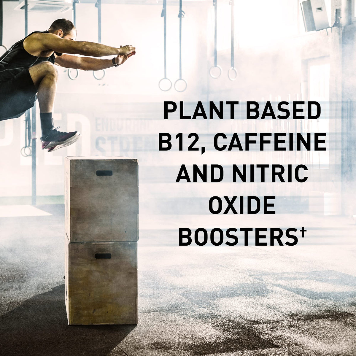 Organic Plant-Based Post Workout Recovery Powder & Pre Workout Energy Powder Bundle M88161