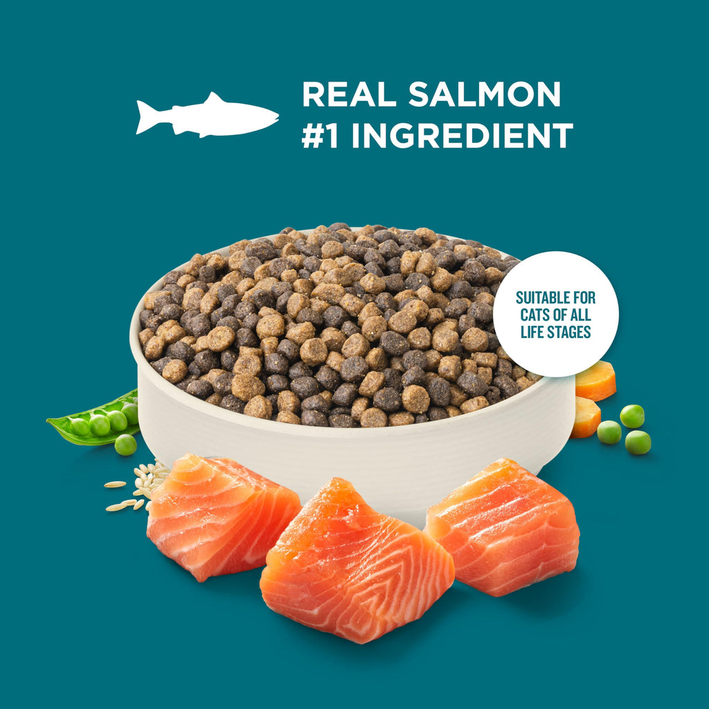 Salmon & Brown Rice Recipe Dry Cat Food 14 lb. Bag P745460