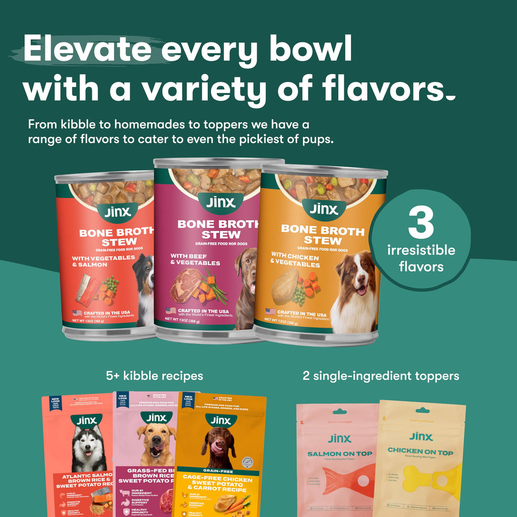 Grain Free Beef & Vegetables Wet Dog Food 12 Pack Y737