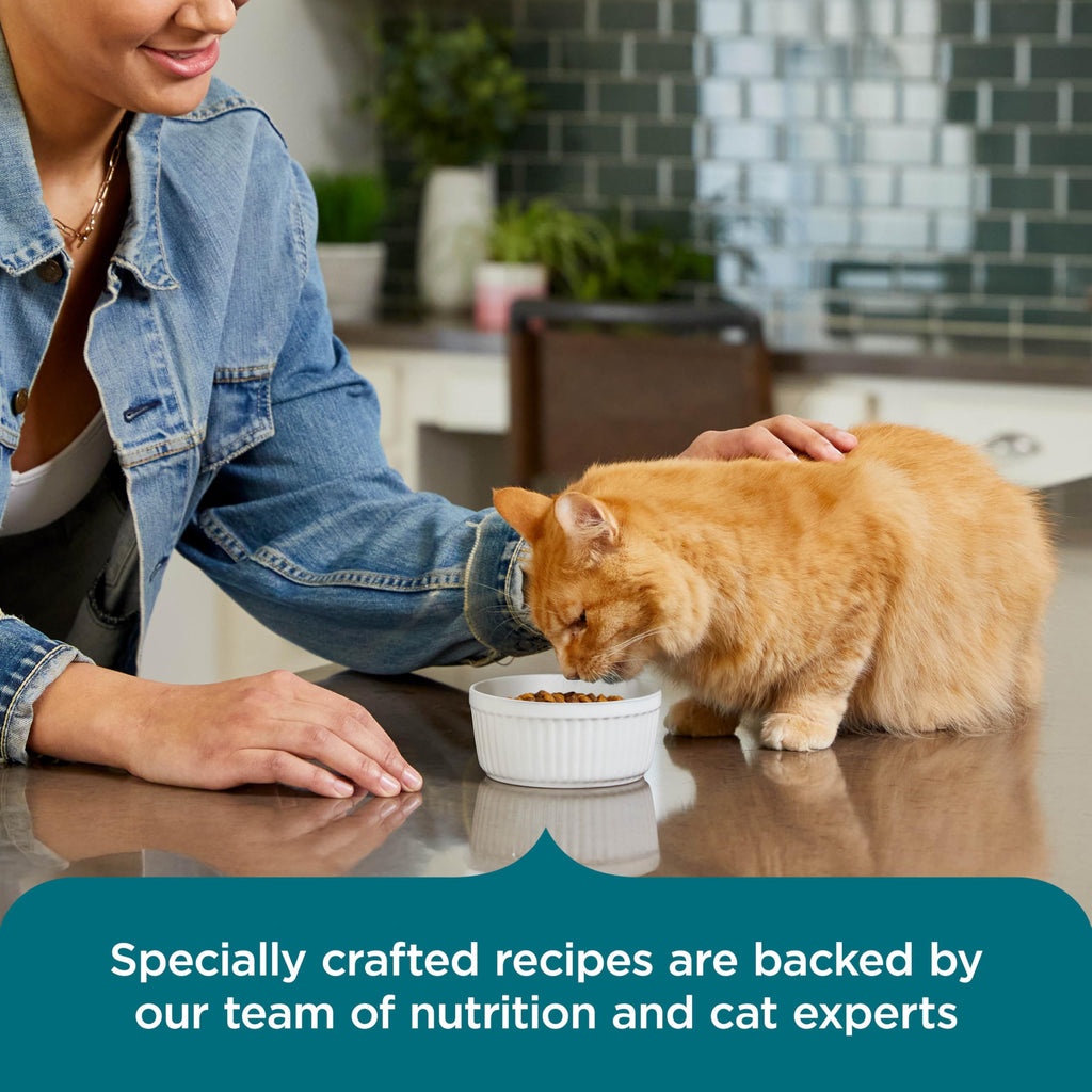 Salmon & Brown Rice Recipe Dry Cat Food 14 lb. Bag P745460