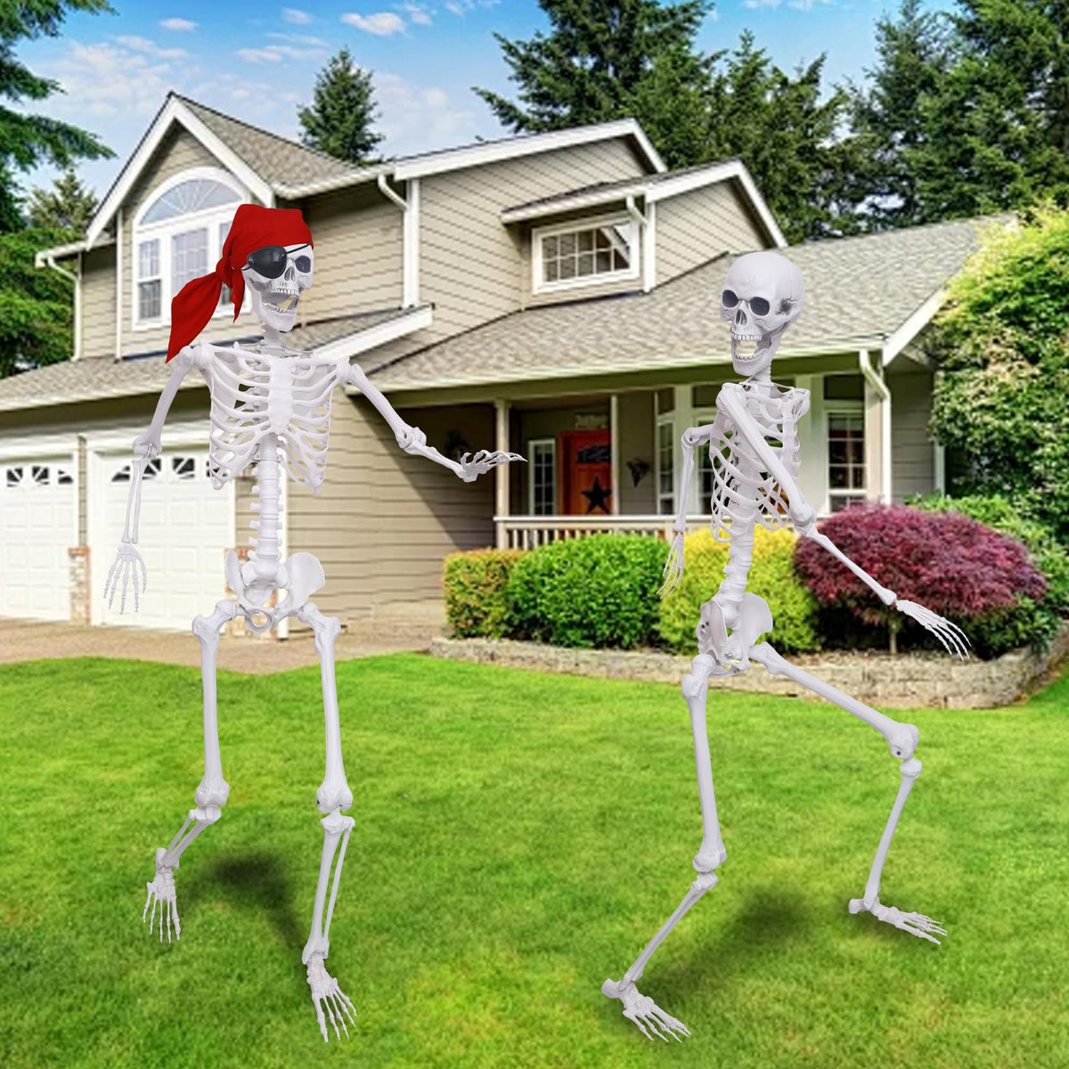 5.4Ft Posable Life Size Skeletons with Movable Joints W850424