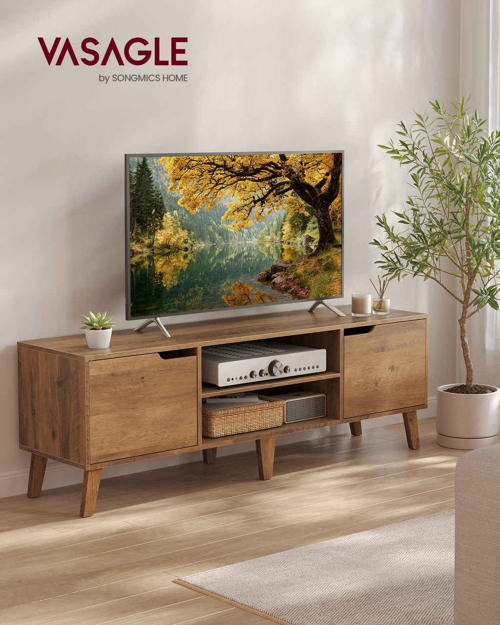 TV Stand with Adjustable Shelf C159
