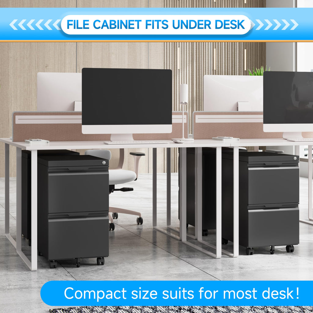 2 Drawer Mobile File Cabinet with Lock X914225