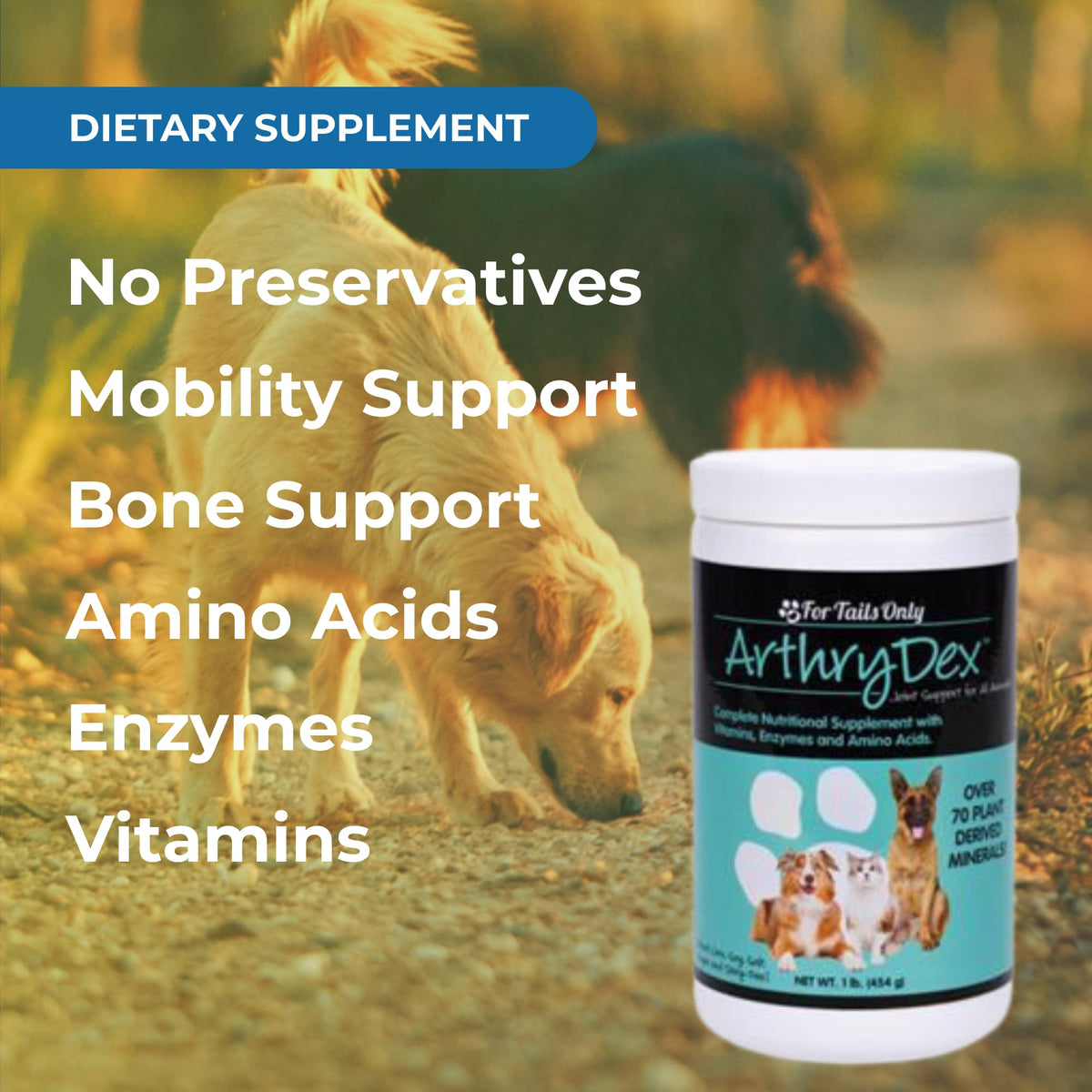 Pet Bone Support Supplement Powder 1 lb Canister Y703