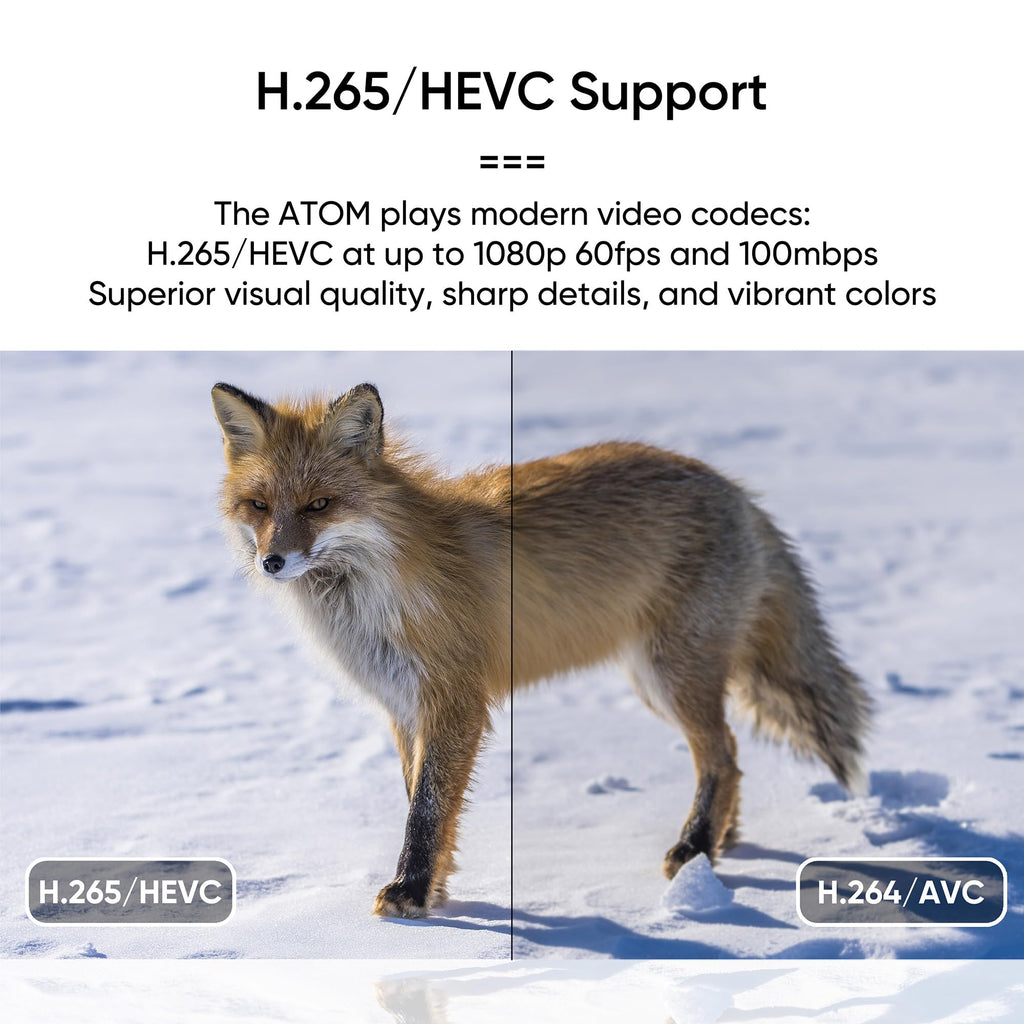 1080P Full-HD Digital Media Player V19561