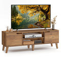 TV Stand with Adjustable Shelf C159