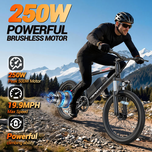 1000W Electric Bike L5786